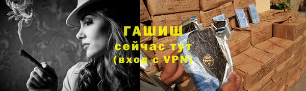 стаф Ростов