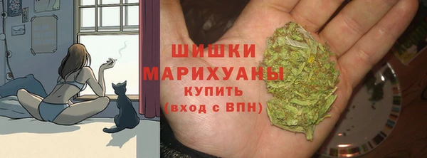 стаф Ростов