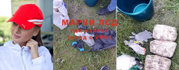 стаф Ростов