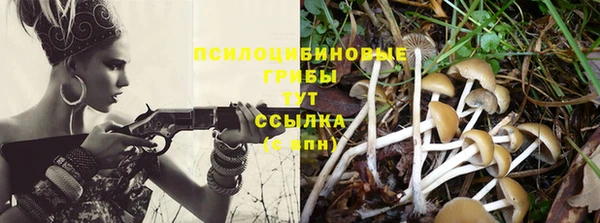стаф Ростов