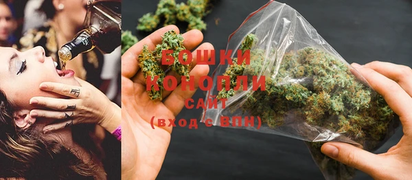 стаф Ростов