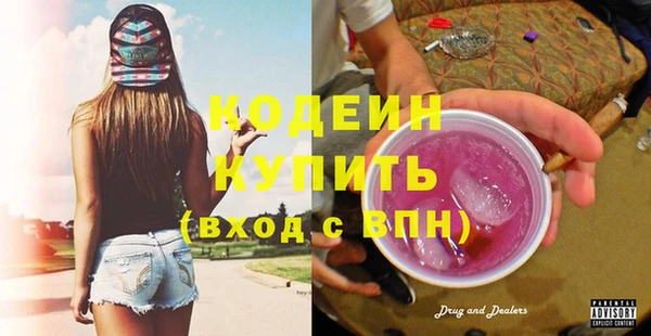 стаф Ростов