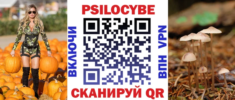 Псилоцибиновые грибы мицелий  цена наркотик  Южноуральск 