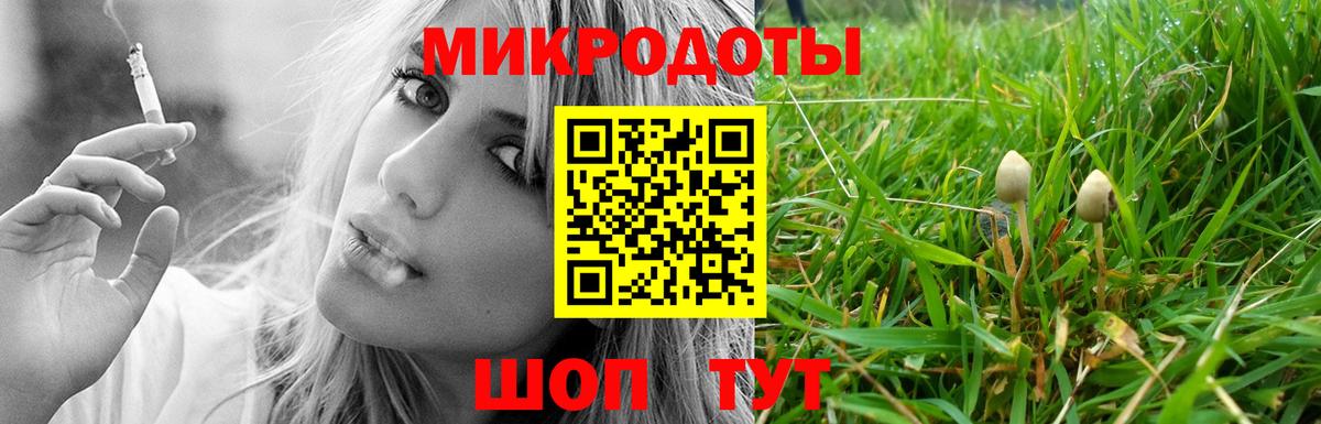 Южноуральск  Галлюциногенные грибы мицелий  закладка  Вход с VPN 
